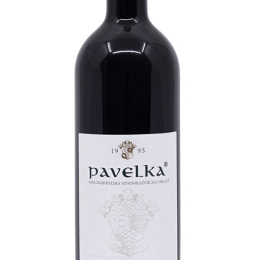 247_pavelka-dunaj